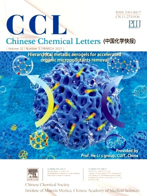Chinese Chemical Letters杂志封面